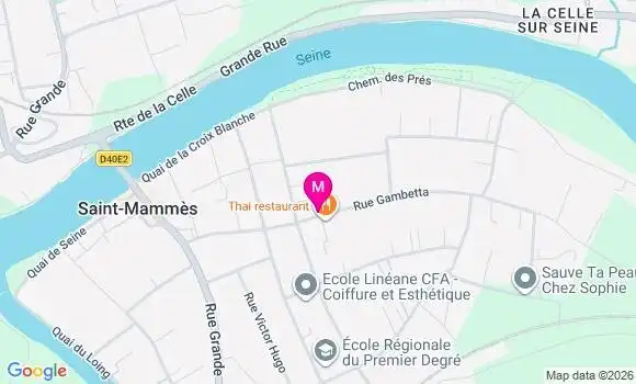 Localisation Centre de Santé de Saint Mammes