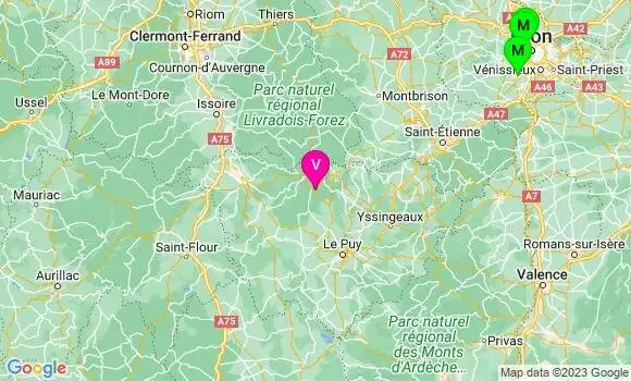 Médecin de Garde Félines