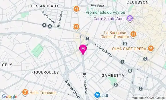 Localisation Camille Vigier